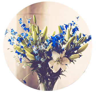 Sympathy Flowers Earlsfield